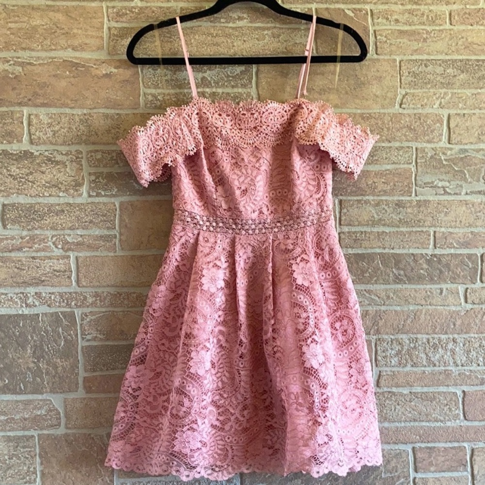 Francesca's Blush Lace Dress
